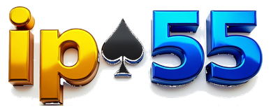 ip 55